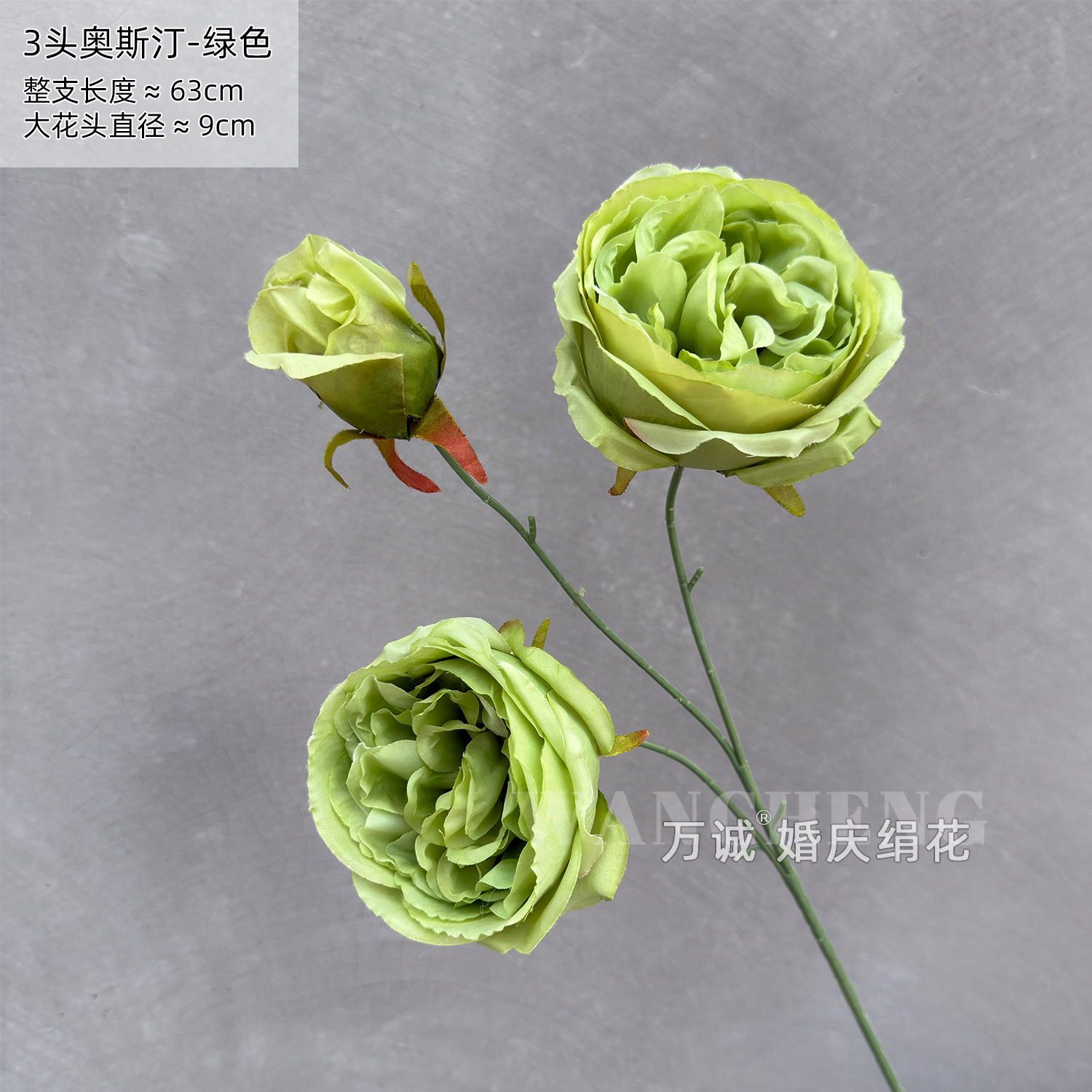 3 heads special price austin green