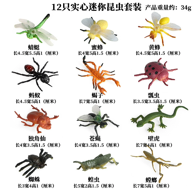 Cognitive realistic marine animal model, dinosaur, toy
