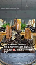 ����仯��|�u�ϿӸ߱��u���S��ʯ��ʯԭʯ�V��ҾӔ[���ղؼ�Ʒ
