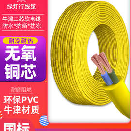 阳谷绿灯行防冻电源线国标1.5 2.5平方TYZ二芯软电线电缆线护套线