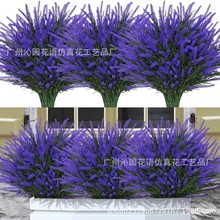 5��޹�²�5�^�������Gֲ�b����ϻ����滨������ֲ�����Ի����l