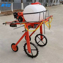 ַʽșCС״󶹇șC^rrșC