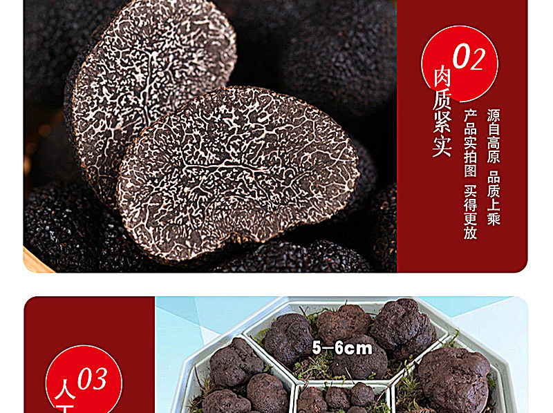 2022黑松露_14.jpg