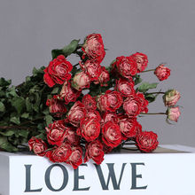 干花花束玫瑰干花风干网红干花diy材料北欧风装饰摆设ins干花批发