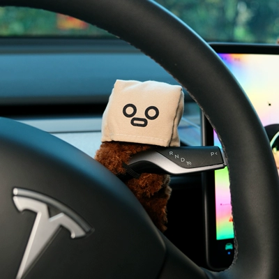Seat belt shoulder pad | Handle Cover, Car Interior Decoration - shocking-society-scared-west-highland-hug-doll
