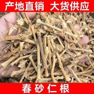��ɰ�ʸ����l���r���ꖴ��خa���ڴ�ɳ�ʸɸ��a��ֱ������ă�