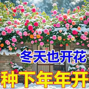 �����궼�_���������¼����N���ļ��_���Nޱ���B�ͺ����ܼt��÷