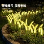 防水布置太阳能花园氛围灯