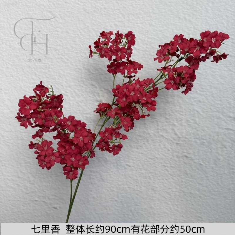 El Qi Lixiang