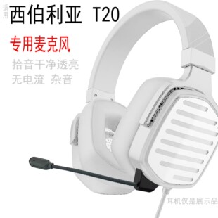 �m����������T20�^��ʽ�Α���C���������L���UԒͲ�{�������mic