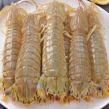 ���ƤƤ�r�����r�Ÿ��F�r�����r���}�r�������l���N���l