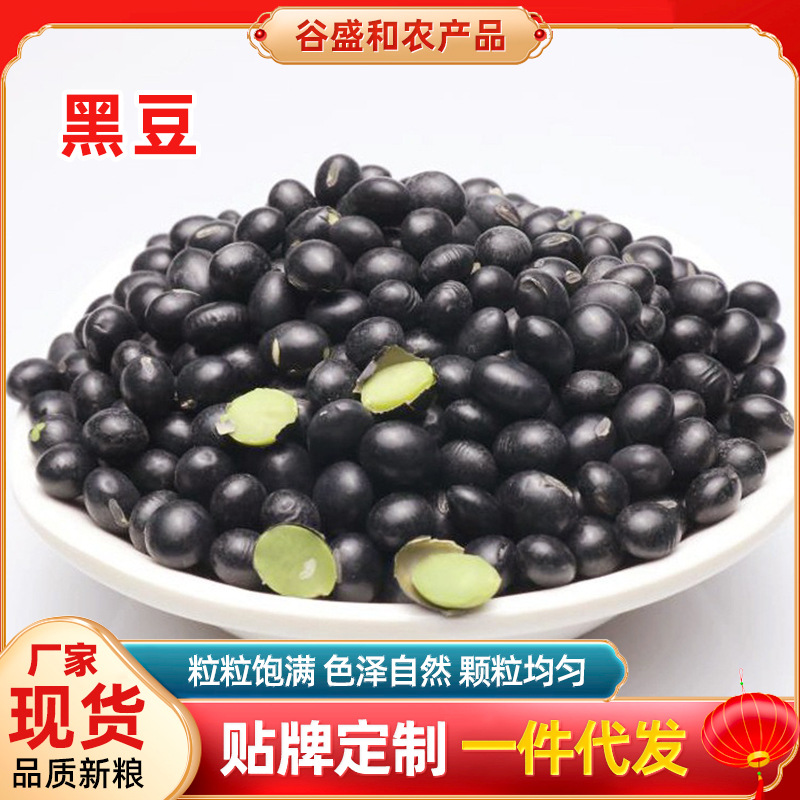 东北黑豆厂家现货青仁品质新粮绿心黑豆  煮粥绿芯黑皮黑豆25kg