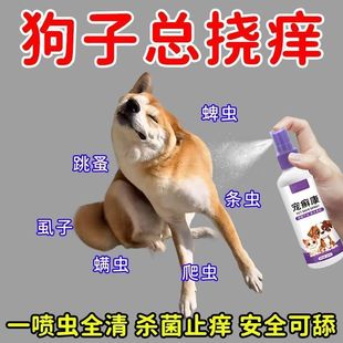 ���x�匙���w�����鹷����x���Fȥ�\�x؈���ʭ�����x