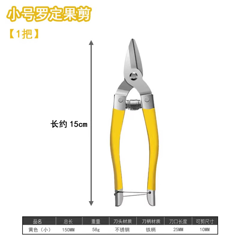 亚马逊园艺修枝剪刀园林修花盆栽摘果专用果园柑橘摘葡萄罗定果剪|undefined