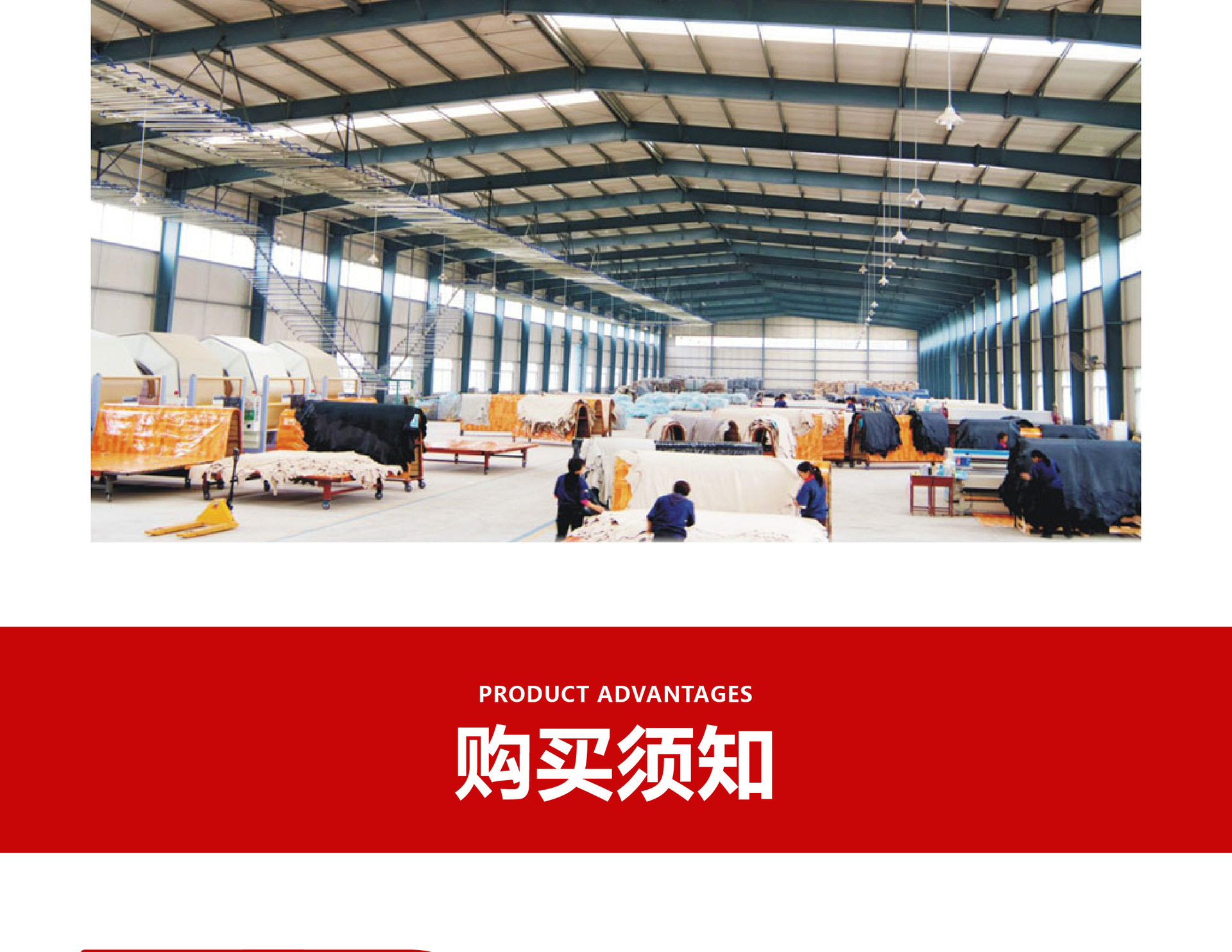 Portable Dry Powder Fire Extinguisher for Commercial and Home Use, Factory and Vehicle-mounted Fire Extinguisher, Fire Equipment Wholesale, Dry Powder Fire Extinguisher