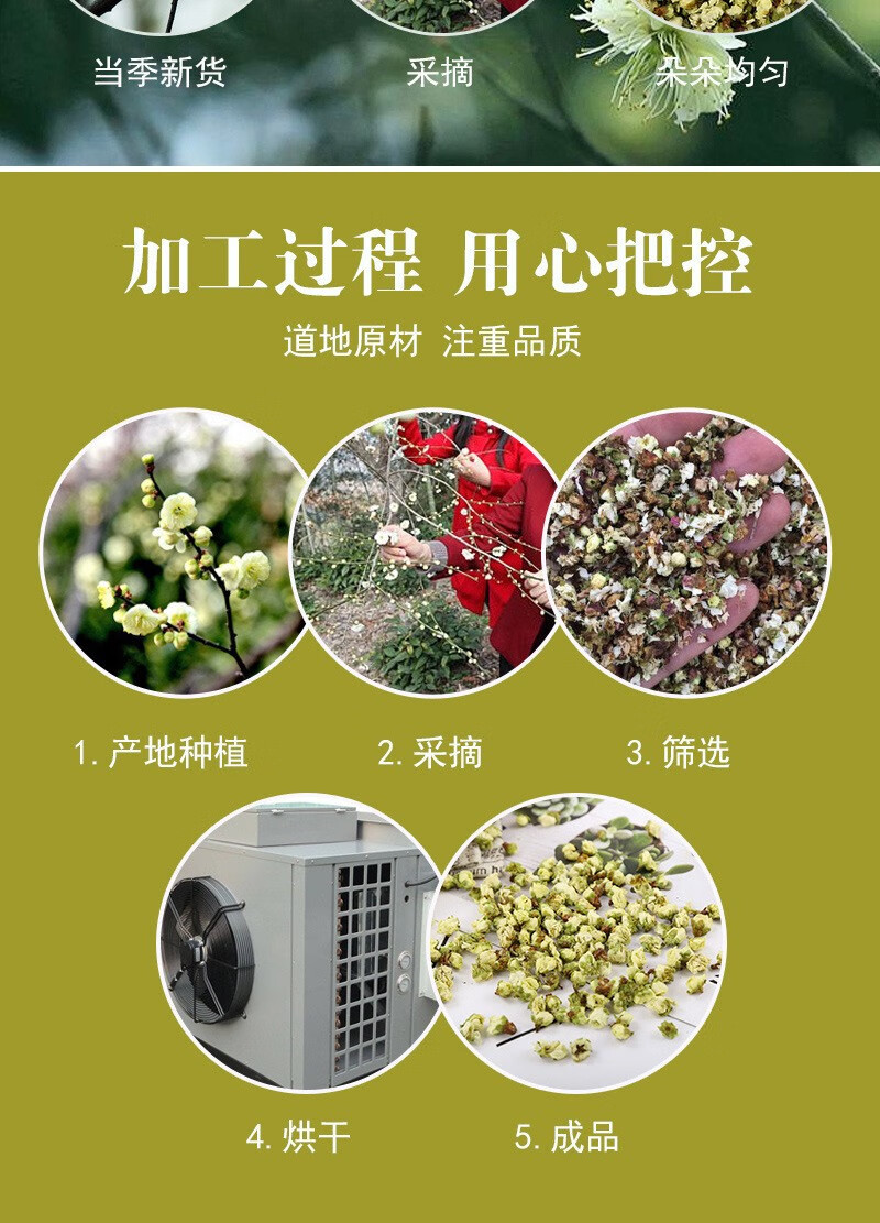 White Plum Flower Tea Mei Hua 绿萼梅 Dried Green Calyx Plum Buds 500g Traditional Floral Herbal Tea quality and texture