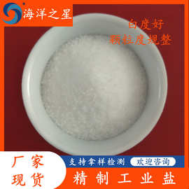 现货供应精制工业盐 99含量颗粒状精制工业盐 工业级高含量氯化钠