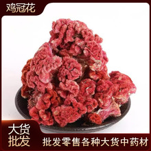 �u�ڻ� ���u�ڻ� �u�ڻ��u�ڻ����Aș����؛ɢ�b 500�˳����r�aƷ