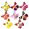 廠家批發塑料架會飛的魔術蝴蝶新奇玩具紙片橡皮筋蝴蝶科教學飛機
