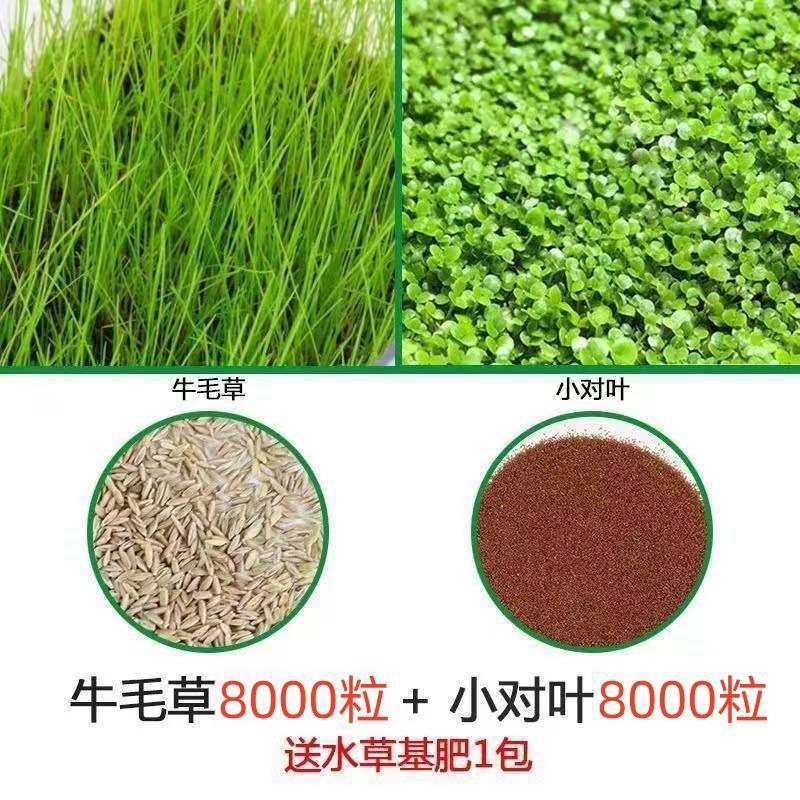 [핫세일] 워터그래스 머드 1.625kg - 작은 쌍잎 + 소털풀 8000캡슐 + 그릇연꽃 5캡슐 + 비료