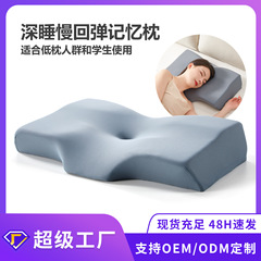 国境を越えた人気のホテルとB&Bのカスタムメイド枕と枕カバーのセット枕低反発枕