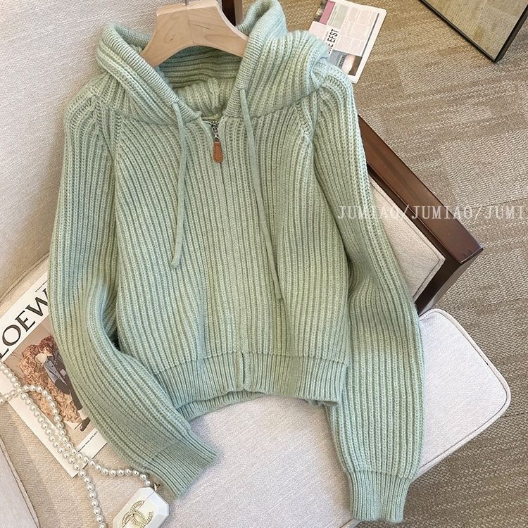 Gentle Style Soft Waxy Hooded Knitted Cardigan Sweatshirt for Women Spring Autumn Winter Short Small Pure Color Zipper Sweater Jacket