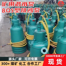 BQS������ˮ�� �������۴�P�̸���ú�V�ø����͝�ˮ��ɳ늱�