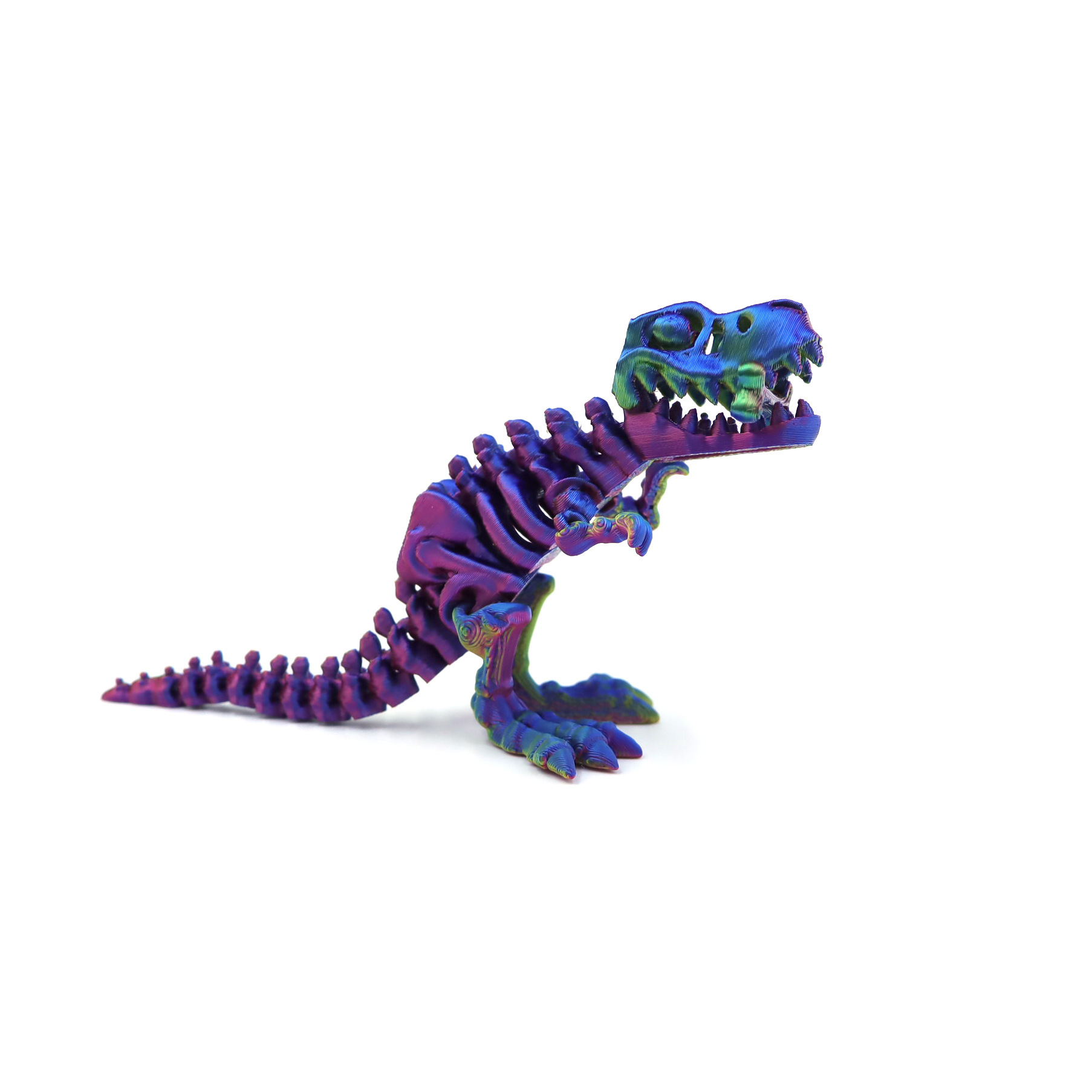 12.5CM 공룡/멋지고 다채로운