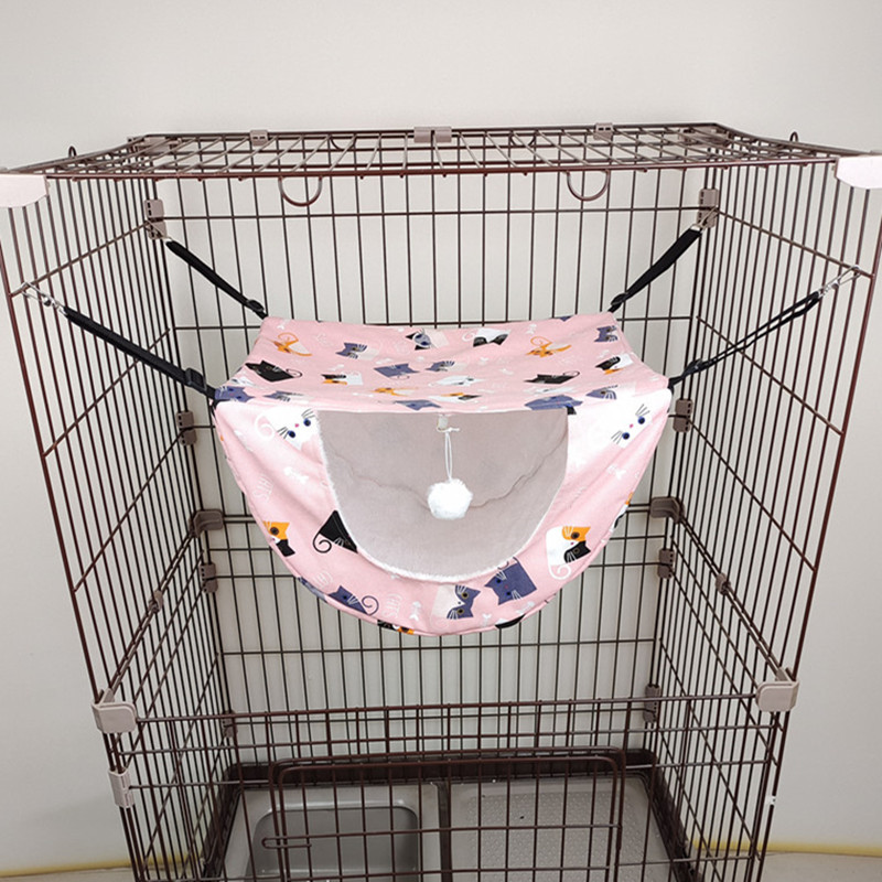 핑크 새끼 고양이