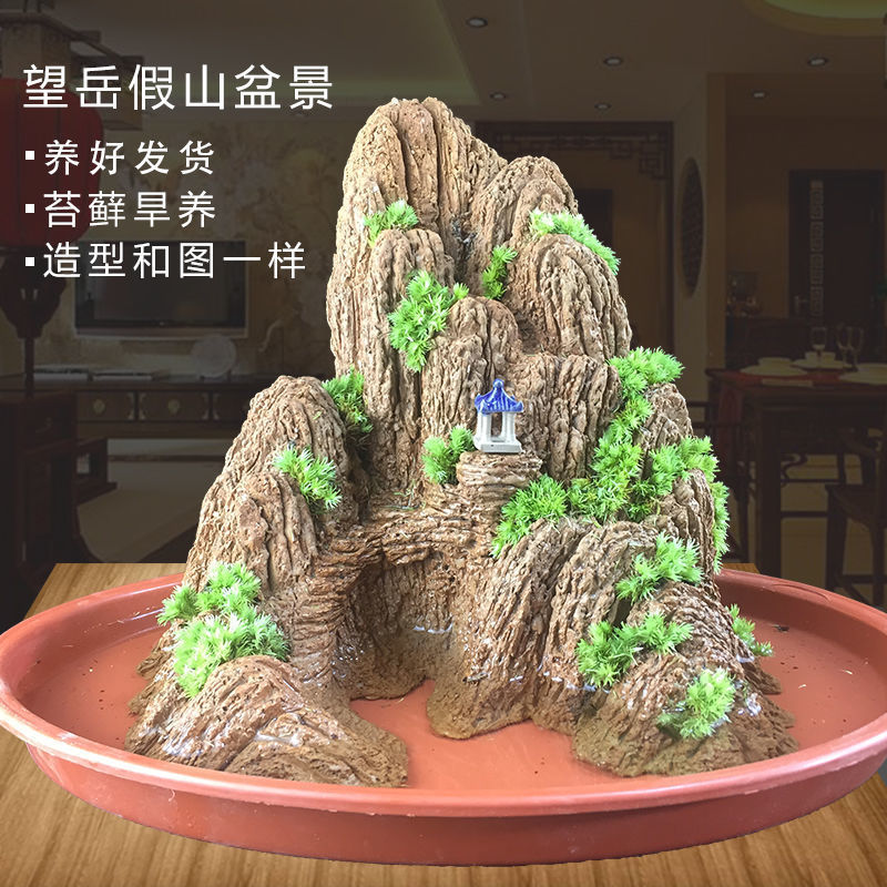 望岳假山盆景微景观上水造景石流水鱼缸吸水奇石非原石小植物