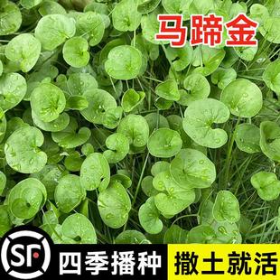 �²��R���ݷN�� �l ��ƺ�N�Ӳ��� �R���e�����X�� �~�X�ݷN��