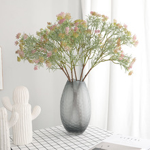 ��֧������� �������ϲݷ���{����˼���M���Ƿ������������