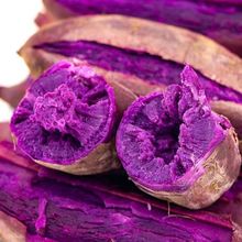 紫糯香甜紫薯新鲜红薯蔬菜番薯板栗薯沙地迷你小紫薯地瓜蜜薯包邮
