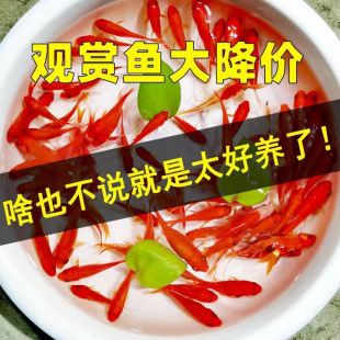 ���B�ͽ��~����~���~��ϻ���ˮ�^�p�~�~����B�������~