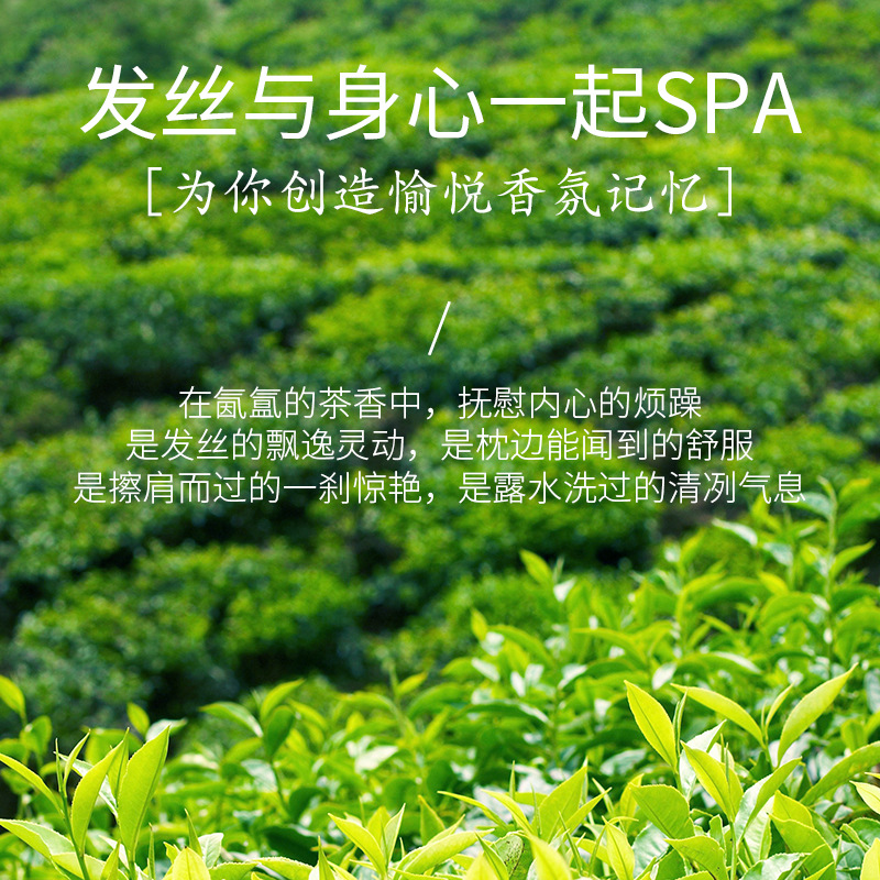 500ml白茶香水洗髮水女持久留香超香豐盈蓬鬆沐浴露套裝工廠代發