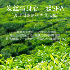 500ml白茶香水洗髮水女持久留香超香豐盈蓬鬆沐浴露套裝工廠代發