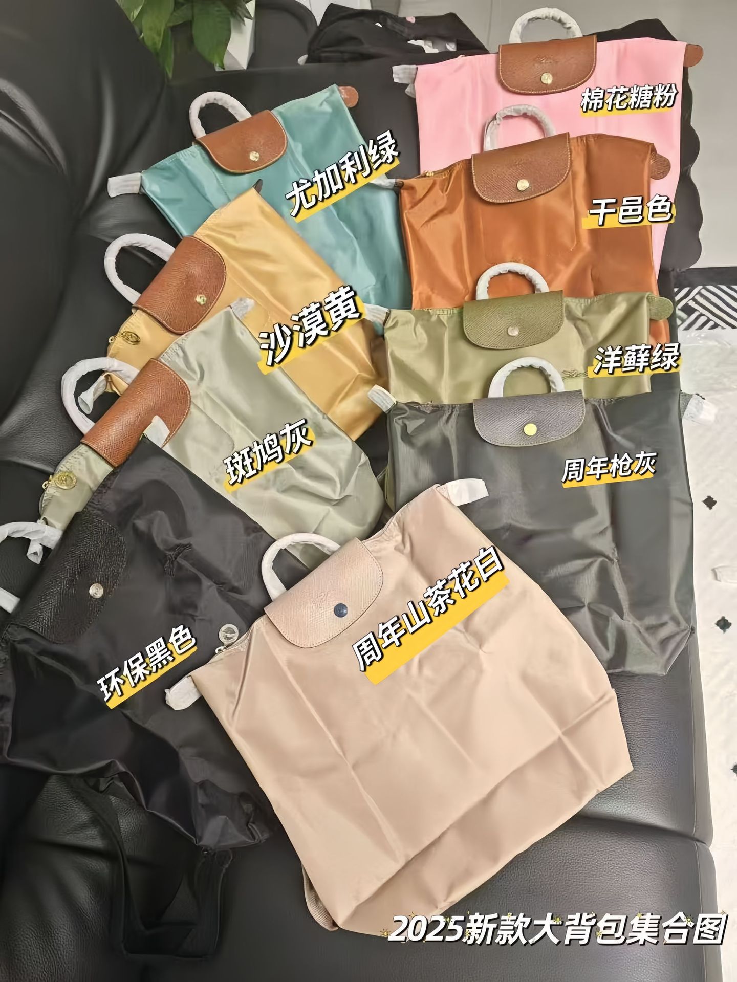 Nylon capacious backpack