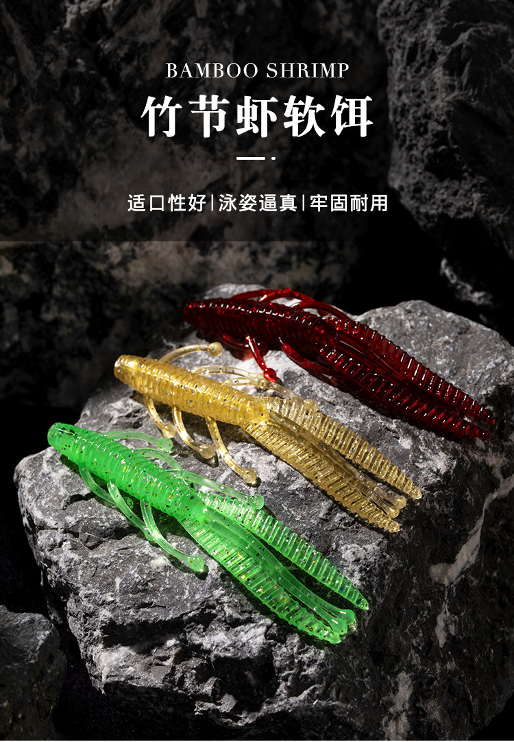 竹节虾_01.jpg