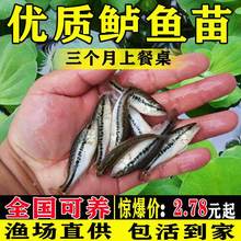 �|�~�絭ˮ�Bֳʳ���~�����B����·�����|�����ˮ�����|�~�~��