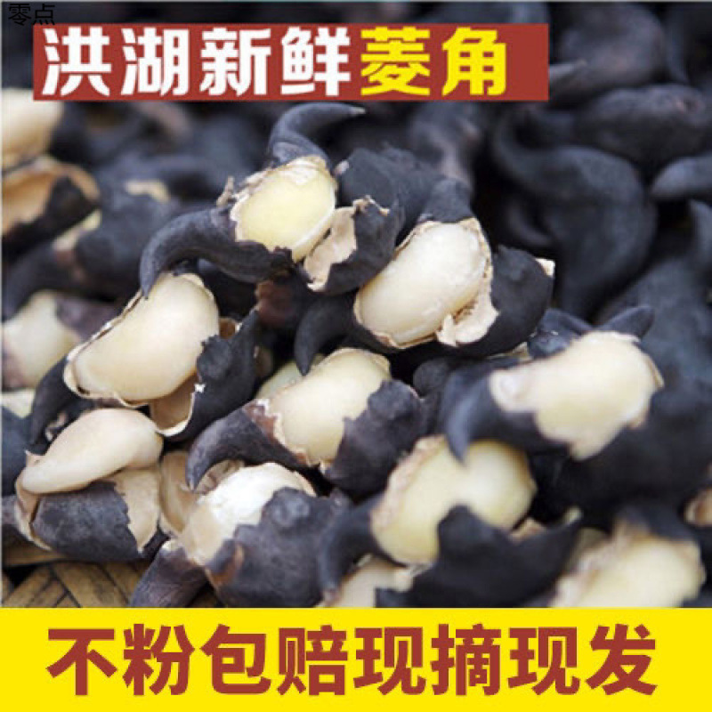 洪湖菱角新鲜老粉糯莲角黑菱角湖北特产生棱角凌角|undefined