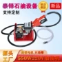 大流量电动550w220v抽油泵总成
