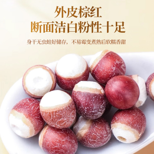 �V�|�ؑc�͌��׈A�����w����؛�u�^�װ��_߅�tƤ�͌��o��Ƣ�B��