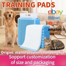�羳TRAININGPADS������|��ˮ�|����Ƭ�򲻝���Ӗ���|��©����