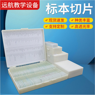 5Ƭ�b�����߲˼���ģ�͌���ҽ̾��d��Ƭ��ֲ���@΢�R��Ƭ�˱�