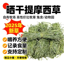 兔子主粮;狗狗窝/笼/垫;猫抓板