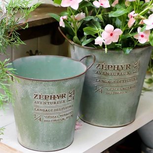 �FƤ����Ӣ����ĸ�b��⻨�@ͥԺ�̨������⻨���Fˇ��Ͱ����