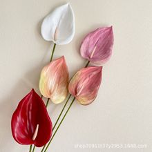 ���滨3D�ָ��^��ɏ�t�� ��c�b���·���Ƶ겼�ò廨�������l