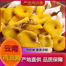 ����خa�u�;��u�;��S�z�����������S���S�𹽸�Ģ��һ�����l