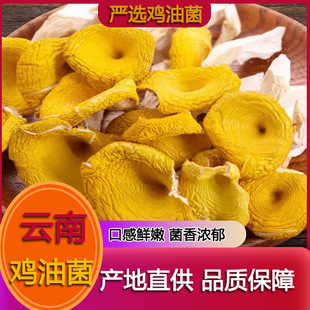 ����خa�u�;��u�;��S�z�����������S���S�𹽸�Ģ��һ�����l