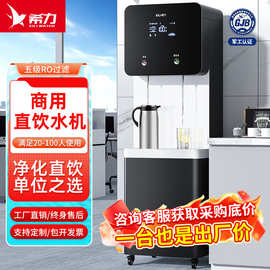 希力商用净水器RO反渗透过滤单位办公室学校大流量加热立式直饮机